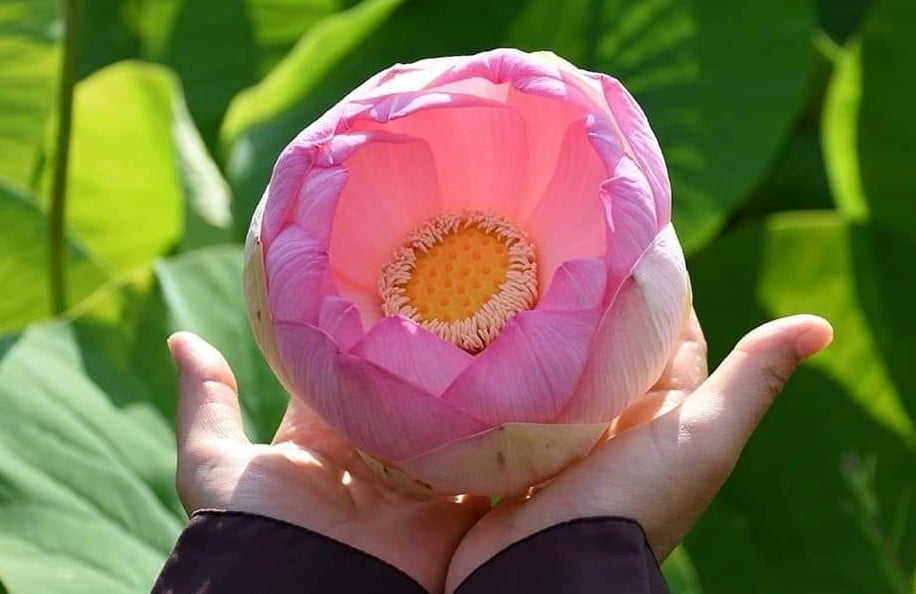 Làm thế nào để đạt được thân tâm an ổn?