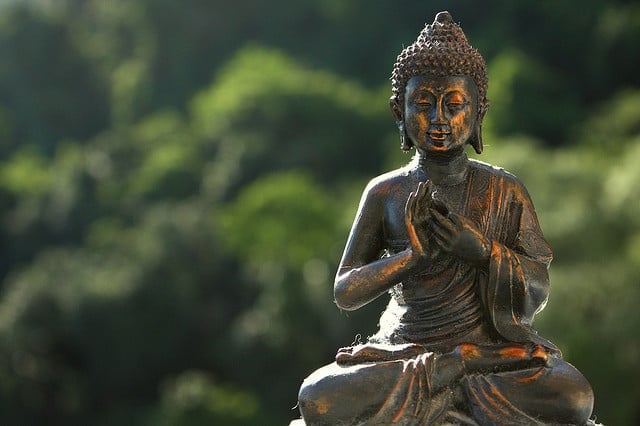 Nhờ cứu sống bò mẹ được thăng quan trường thọ