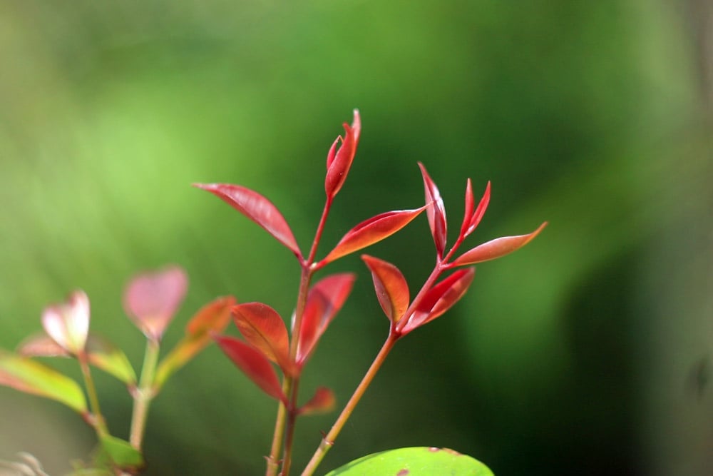 Làm người, đừng để tình thương của mình nhỏ bé hạn hẹp