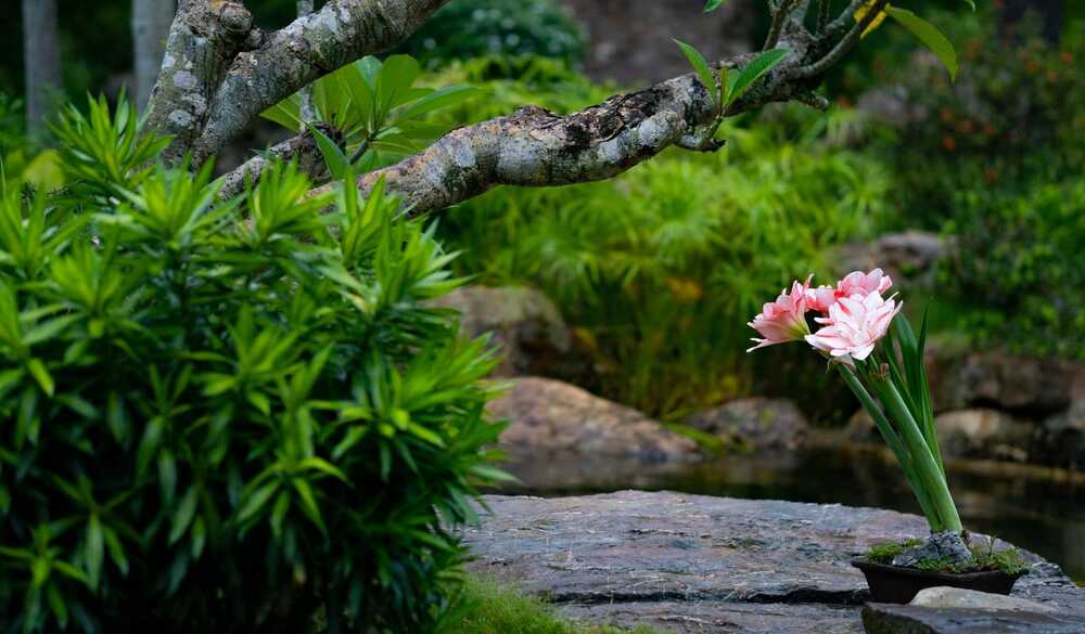 Chấp nhiều thì khổ nhiều
