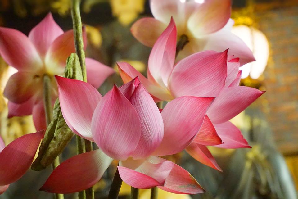 Trên đời này có người hiểu mình là một ân huệ rất lớn