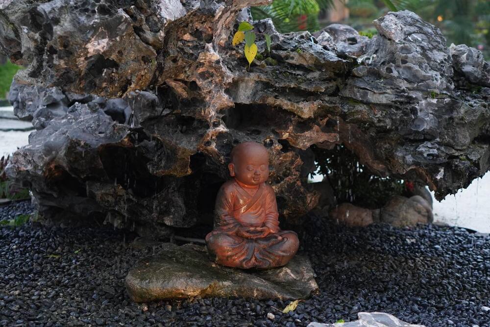 Hãy sống với tâm “dễ thương như người vợ trẻ”