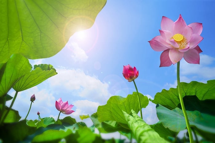 Biết đủ là giàu có