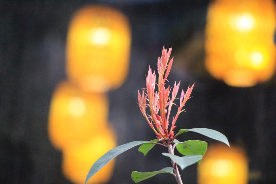 Cúi đầu là một dạng tu dưỡng
