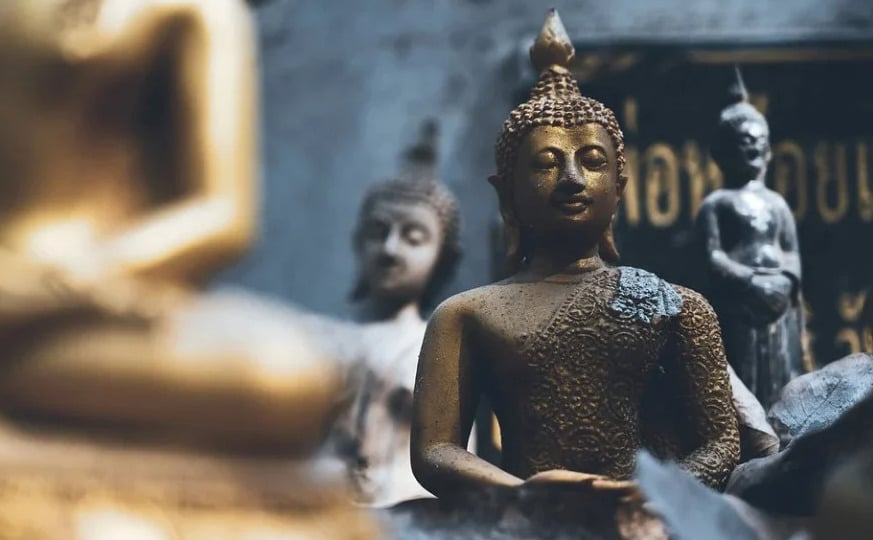 Tu còn luân hồi