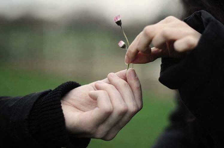 Hải đảo tự thân
