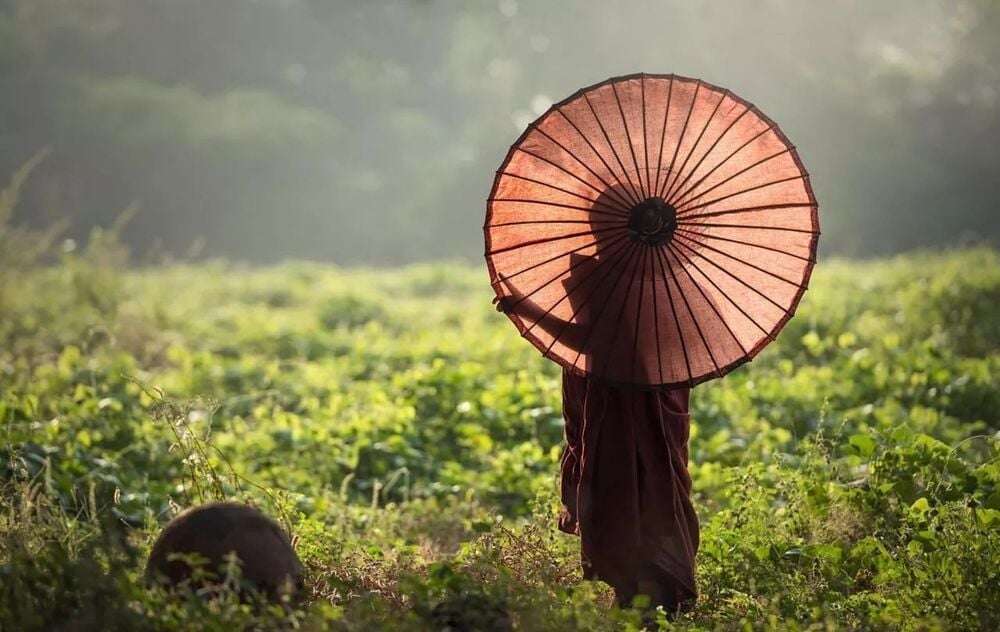 Khiêm cung mới tiến đạo