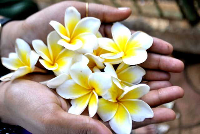 Hóa giải oán thù