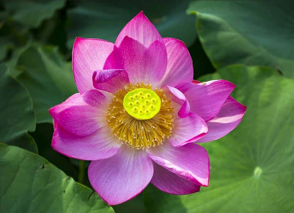 Nghĩa sâu của vô thường