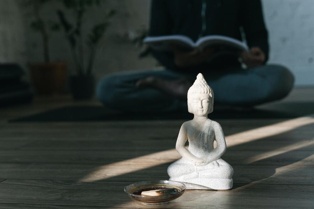 Thiểu dục, tín, tàm, quý là pháp chưa từng có
