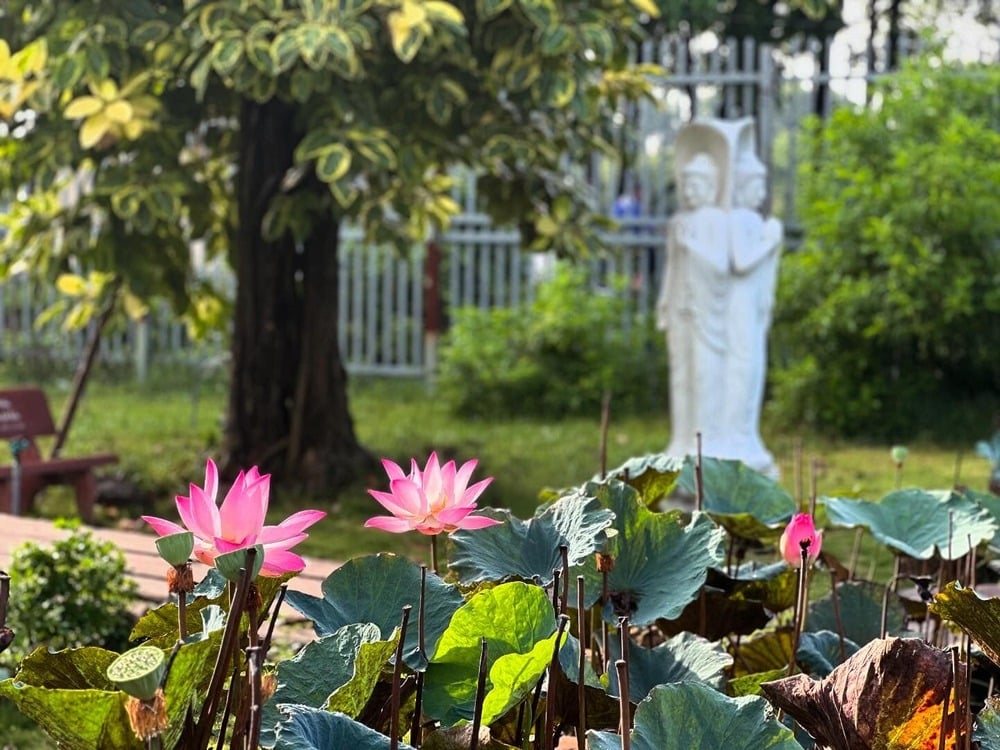 Làm sao hết nghiệp? 