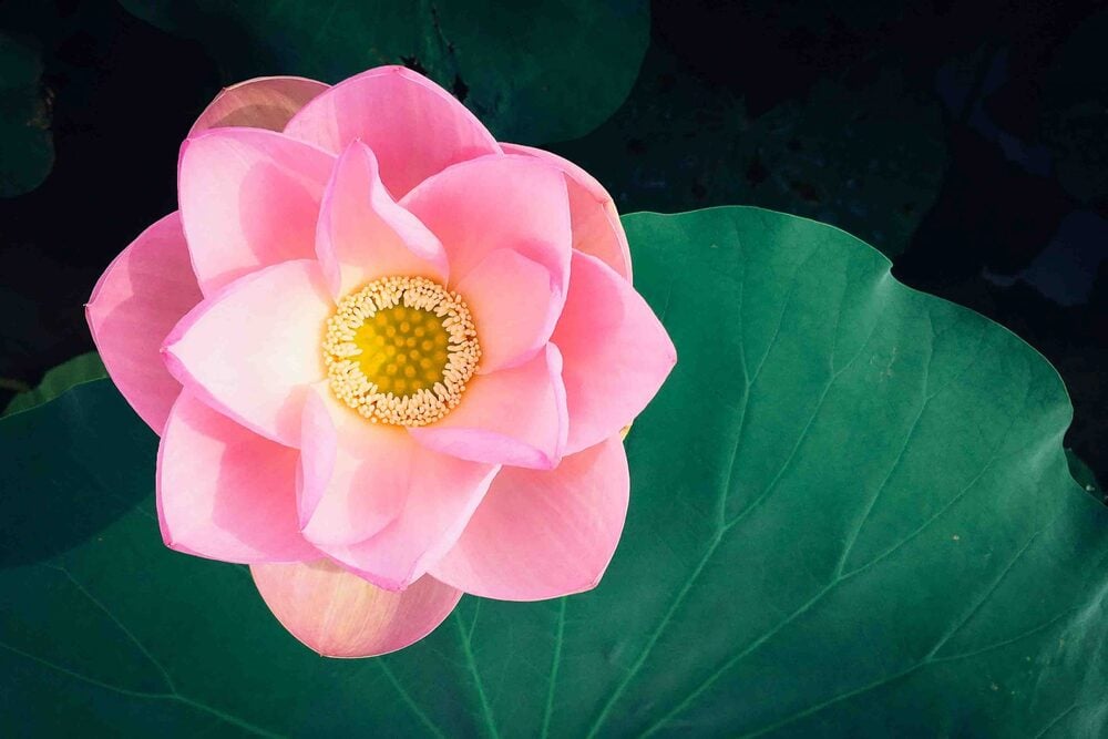 Tùy lúc lễ lạy
