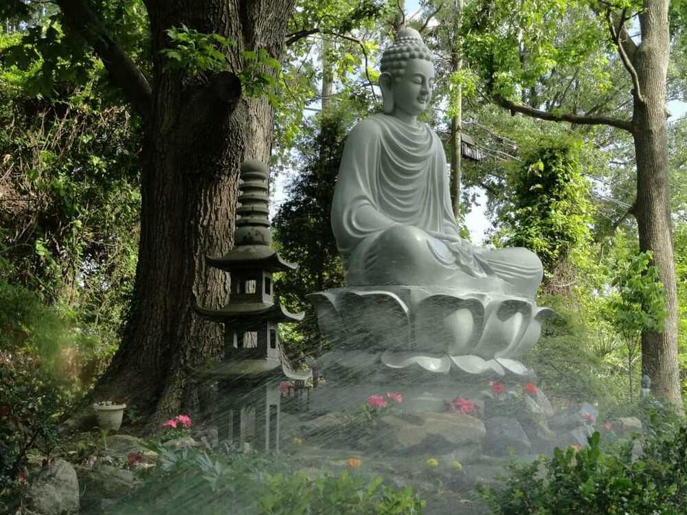 Đức Phật là vị Thầy dẫn đường