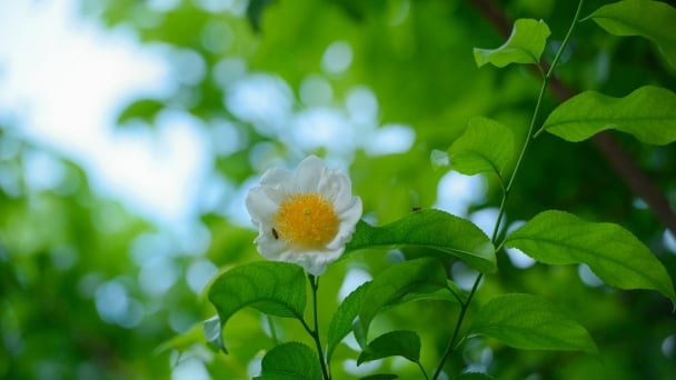 Những mẫu người nên trân trọng