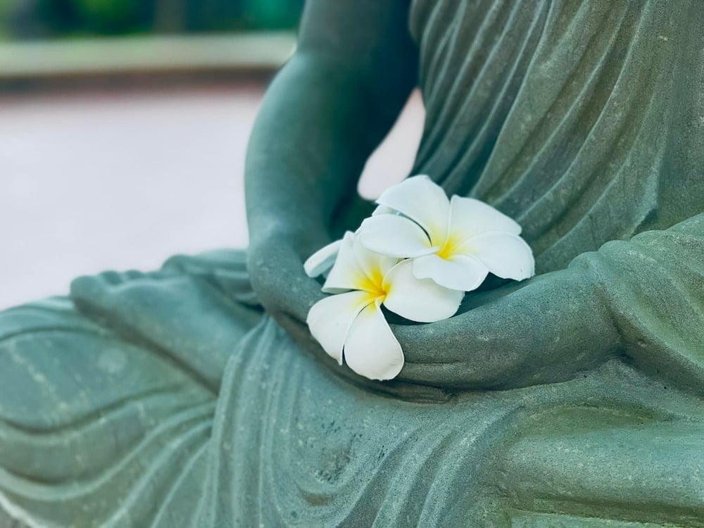 Sống trên đời...phải học cách cảm thông! 
