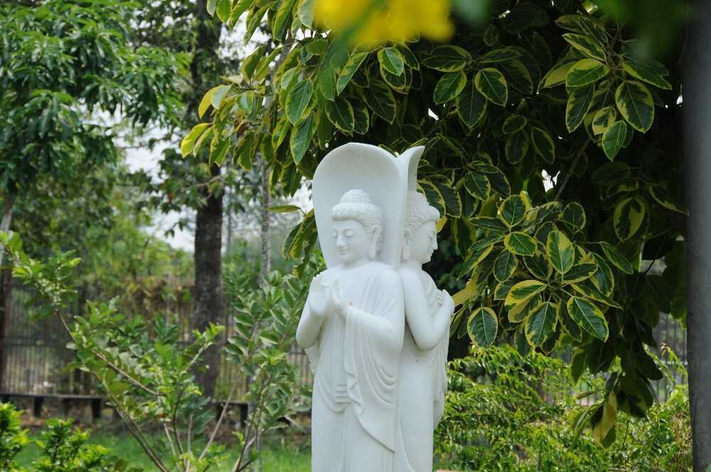 Tự xét lại mình