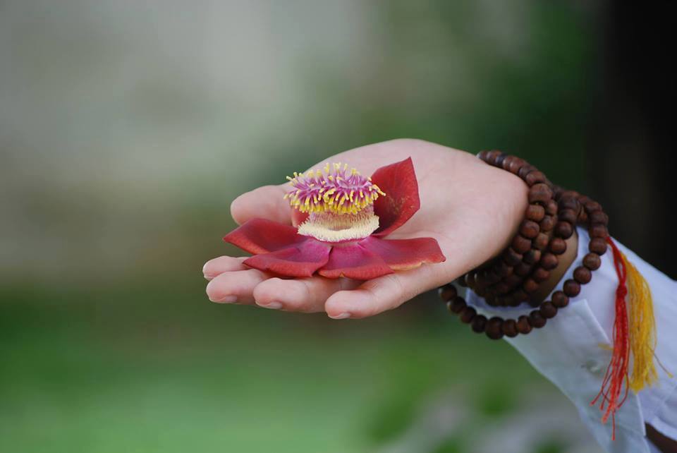 Người biết đặt xuống, thì mới có thể cầm lên