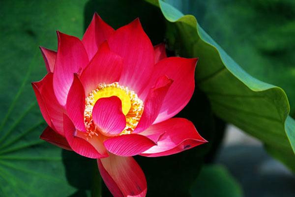 Đừng chỉ khao khát những thứ "chưa có", hãy nhìn vào những thứ "đang có."