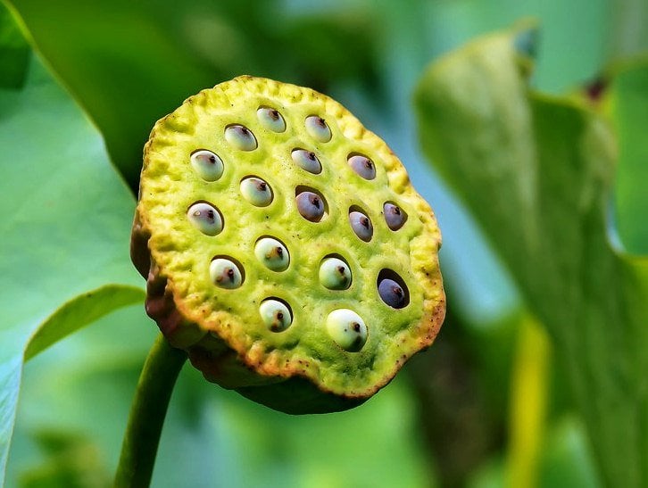 Người thích bàn thị phi, nhất định là "người thị phi"