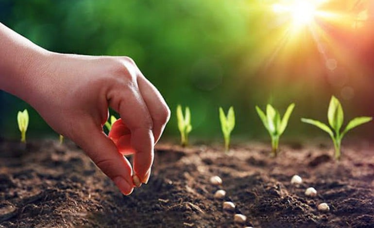 Ác với chúng sinh là đang tàn nhẫn với chính mình
