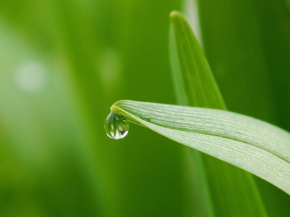 Người hiểu sâu Phật pháp sẽ không hoài nghi, sẽ tin tưởng điều này 