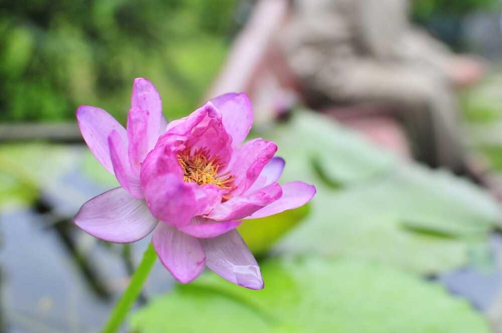Ngồi yên thì suy ngẫm lỗi của mình