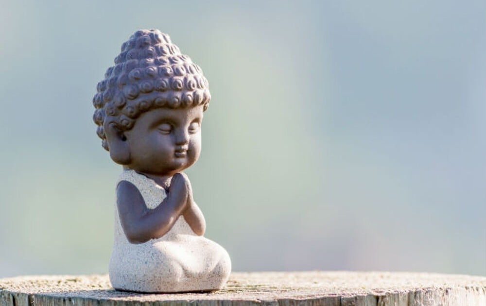 Hưởng thọ vui, khổ quả báo khổ, vui