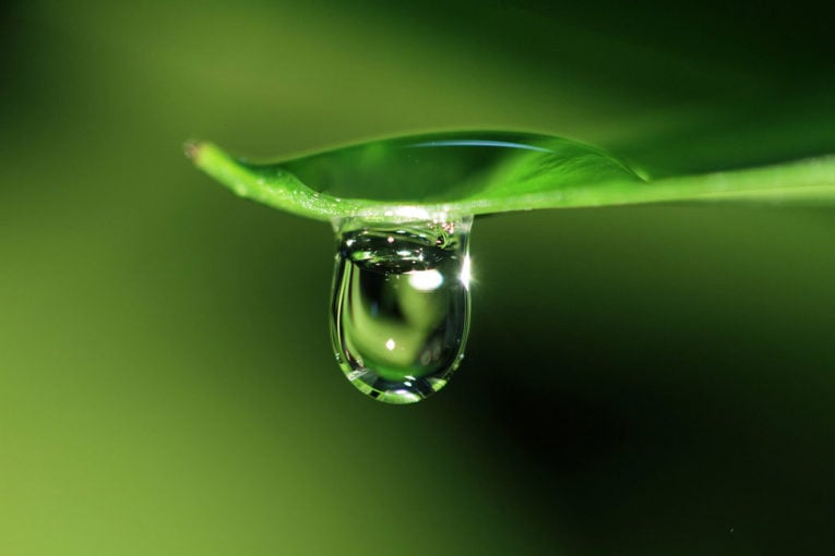 Mỗi người có một lựa chọn