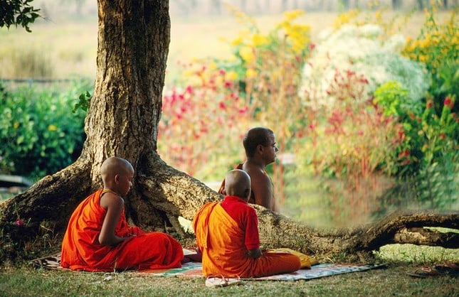 Tu tập phạm hạnh  