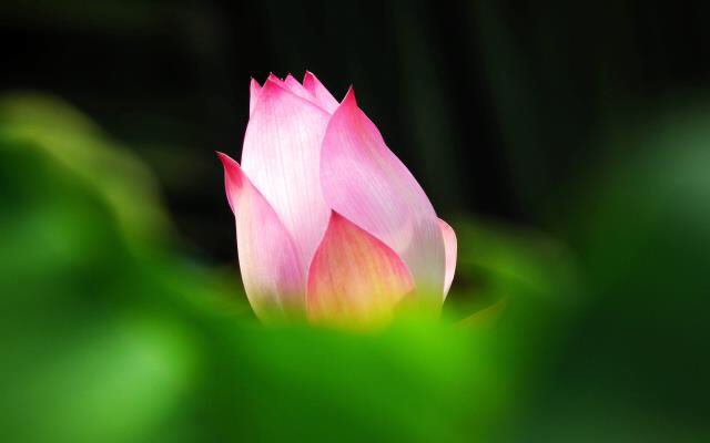 Đời mình, mình cứ tươi