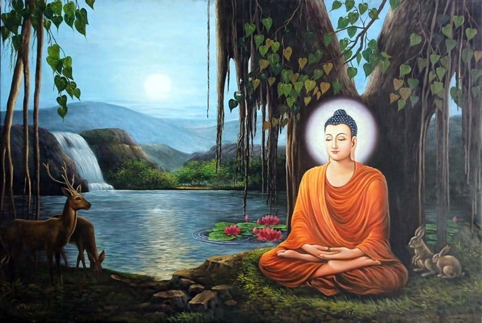 Thiền để đắc định hay giác ngộ?