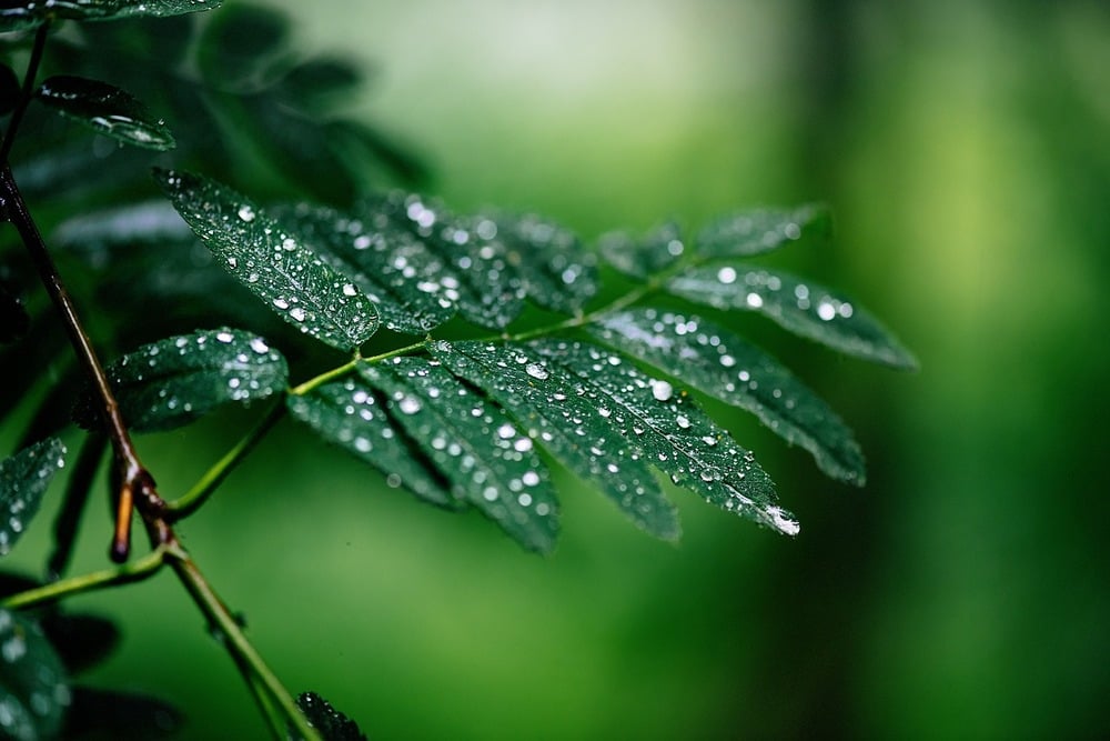 Chỉ khi nào lòng ta yên tĩnh...