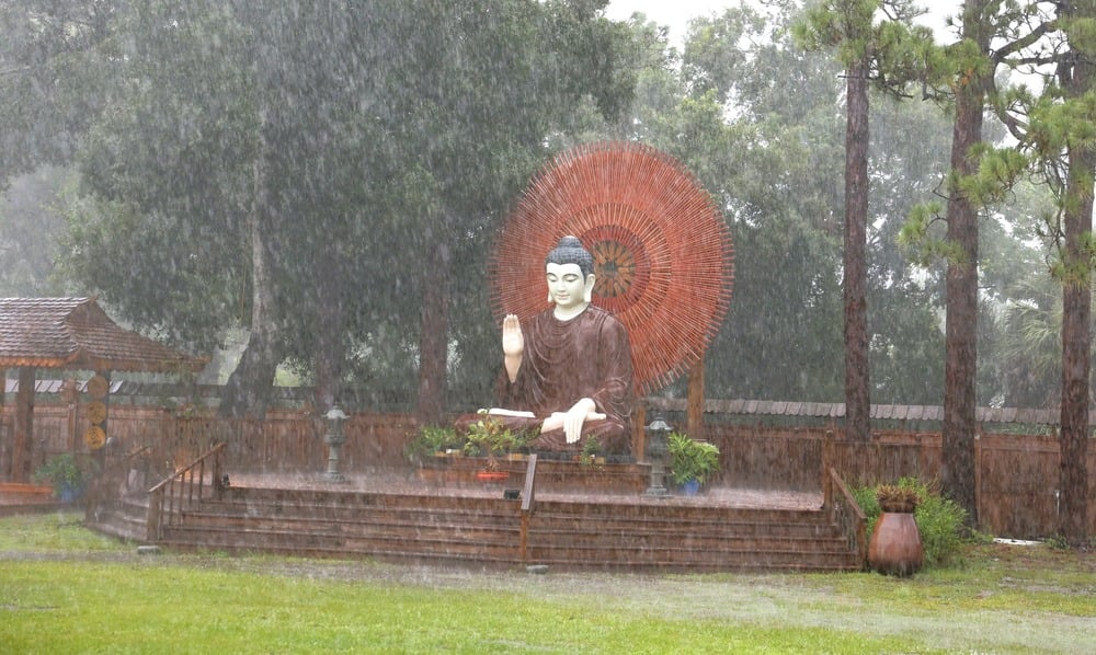 Không dễ tái sanh làm người