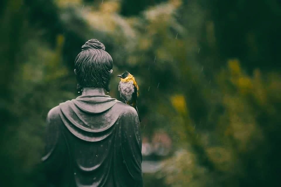 Từ bi là yếu tố giải phóng
