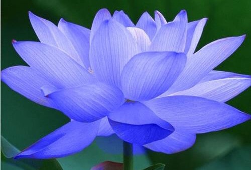 Gặp người lương thiện, đừng ức hiếp; gặp kẻ đáng thương, nhớ giúp đỡ