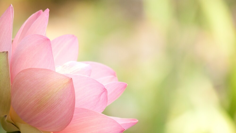 Tùy duyên bất biến