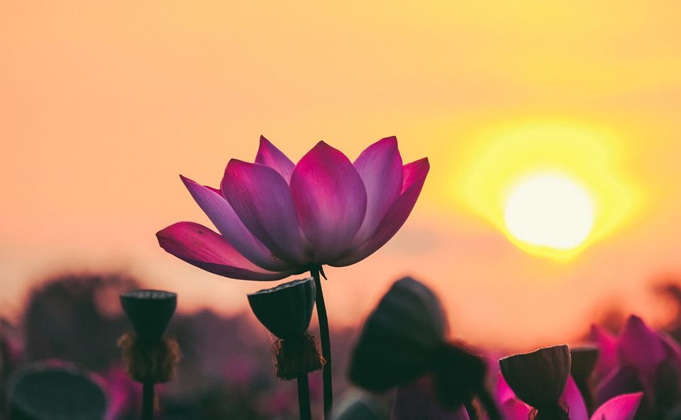 Ngày tâm ta an sóng gió sẽ tan