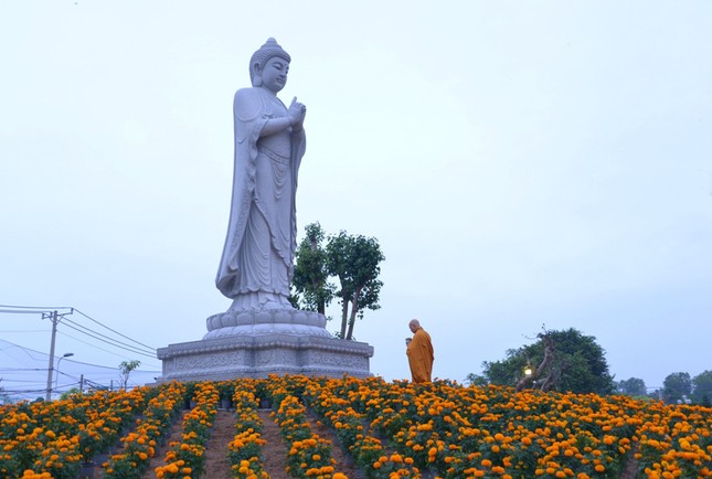Nghiệp nhân của đường ngạ quỷ là gì?