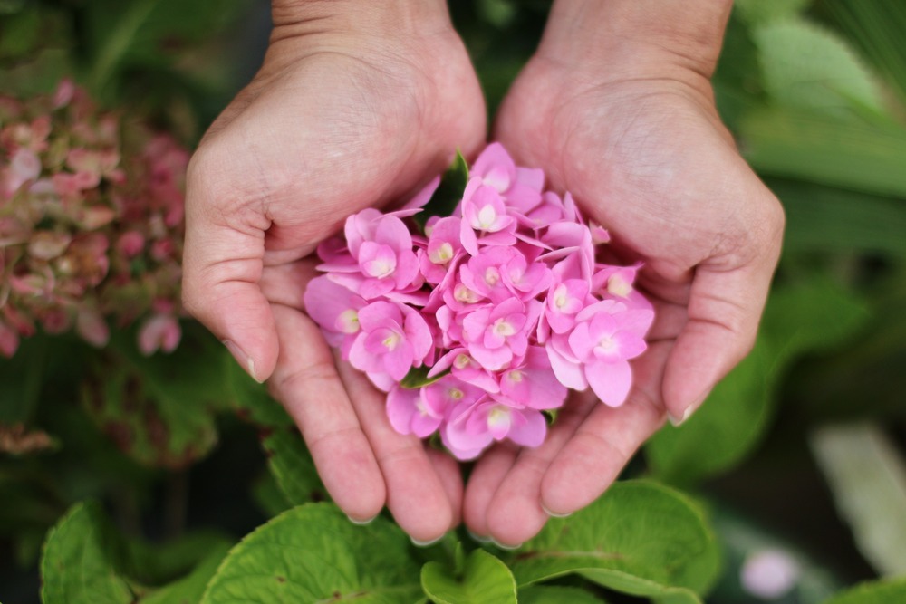 Hạng người như chữ viết trên nước