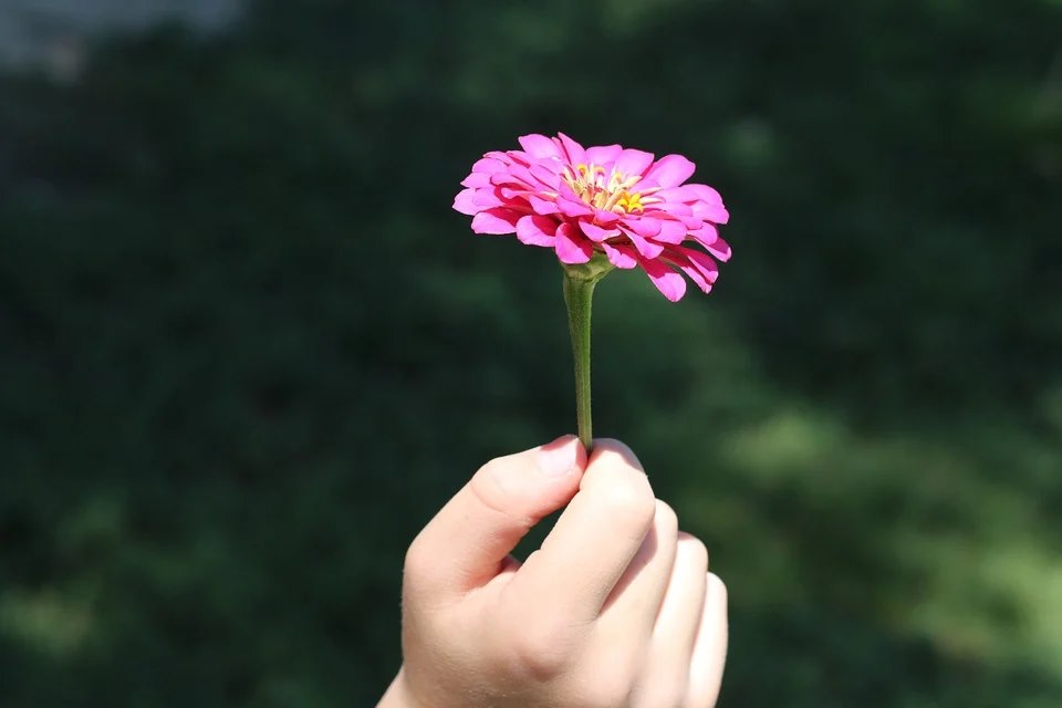 Ai cũng thiếu