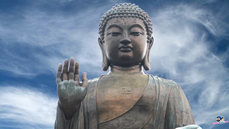 Cái gì cũng cần thời gian
