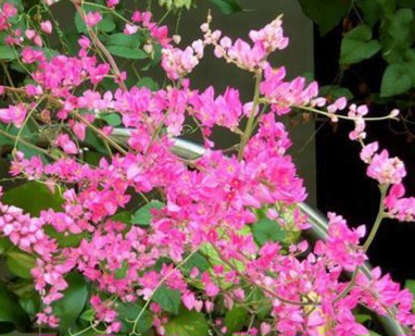 Không nên sống quá lâu ở một nơi