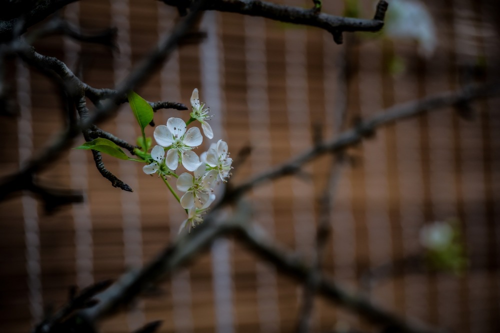 Bớt mong cầu để bớt khổ