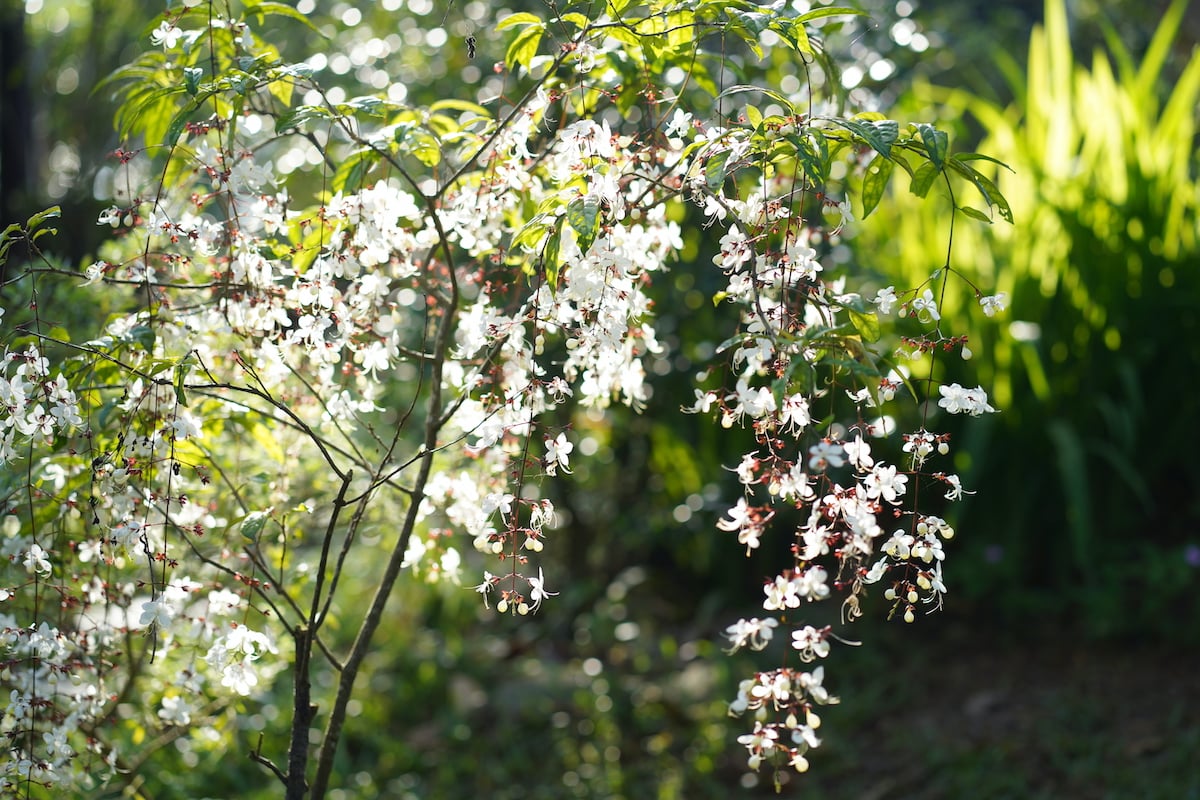 Đừng khinh thường bất kỳ ai