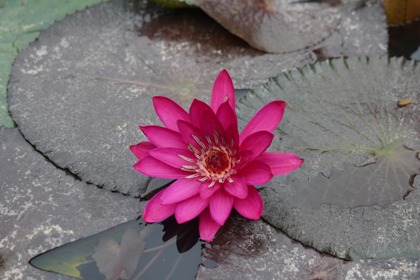 Sống tốt