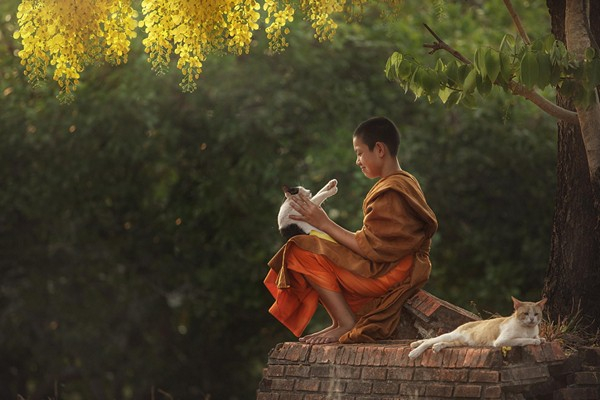 Sống chậm lại thôi