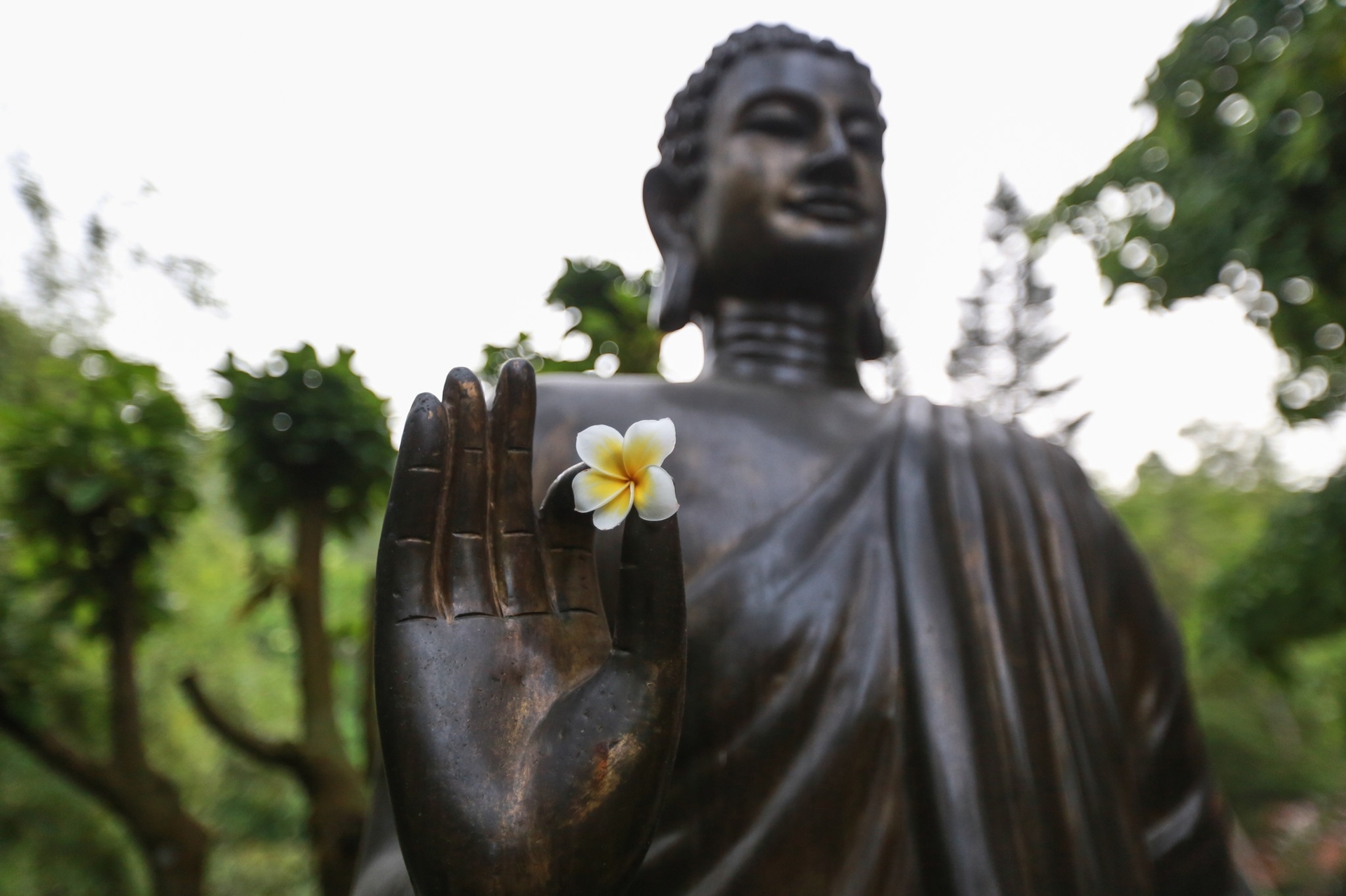  Người chân thật tu hành sẽ an tâm trước tai nạn