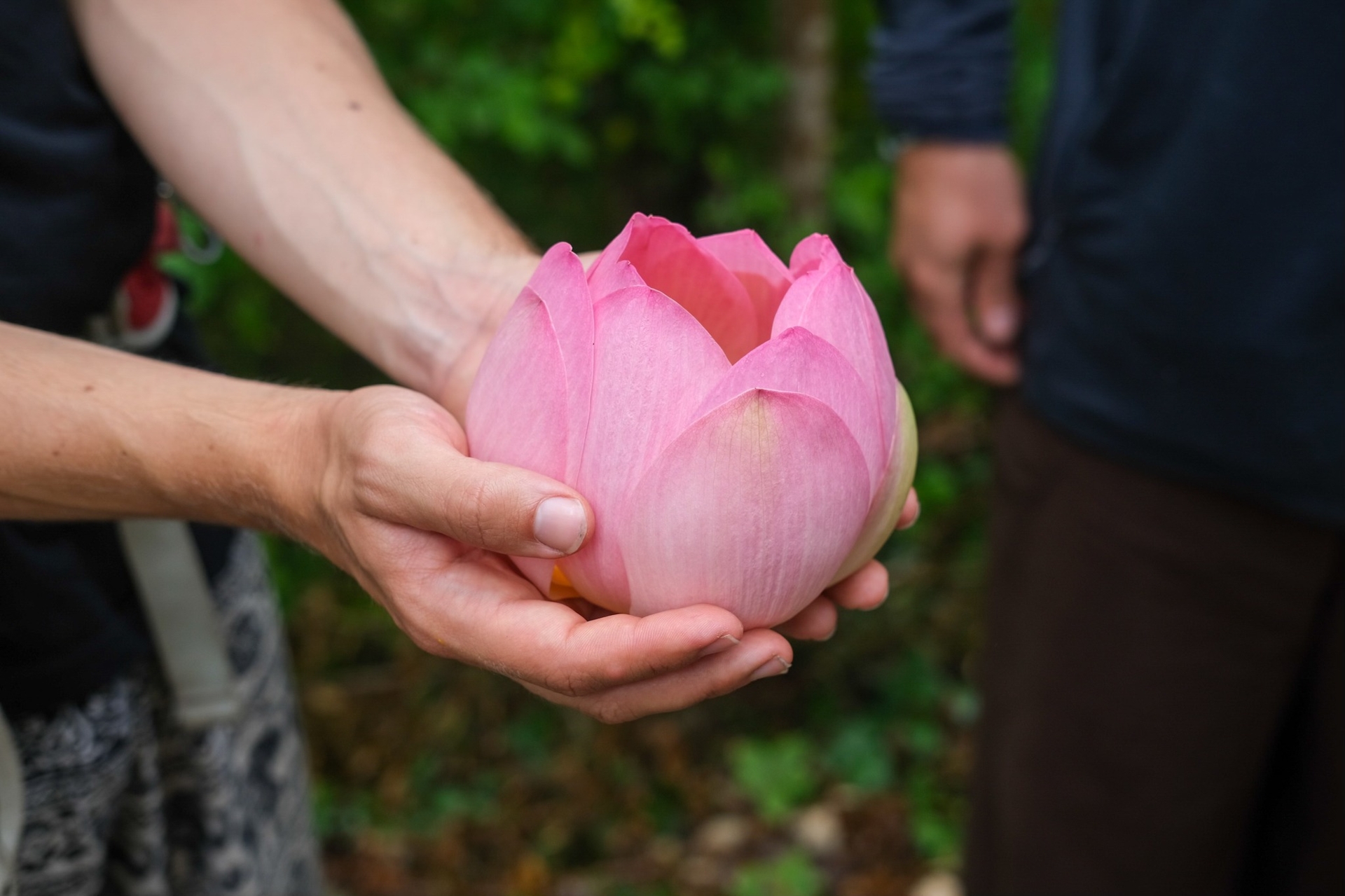 Cảm ơn đời