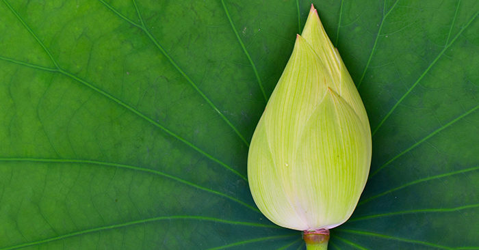 Học cách trân trọng 