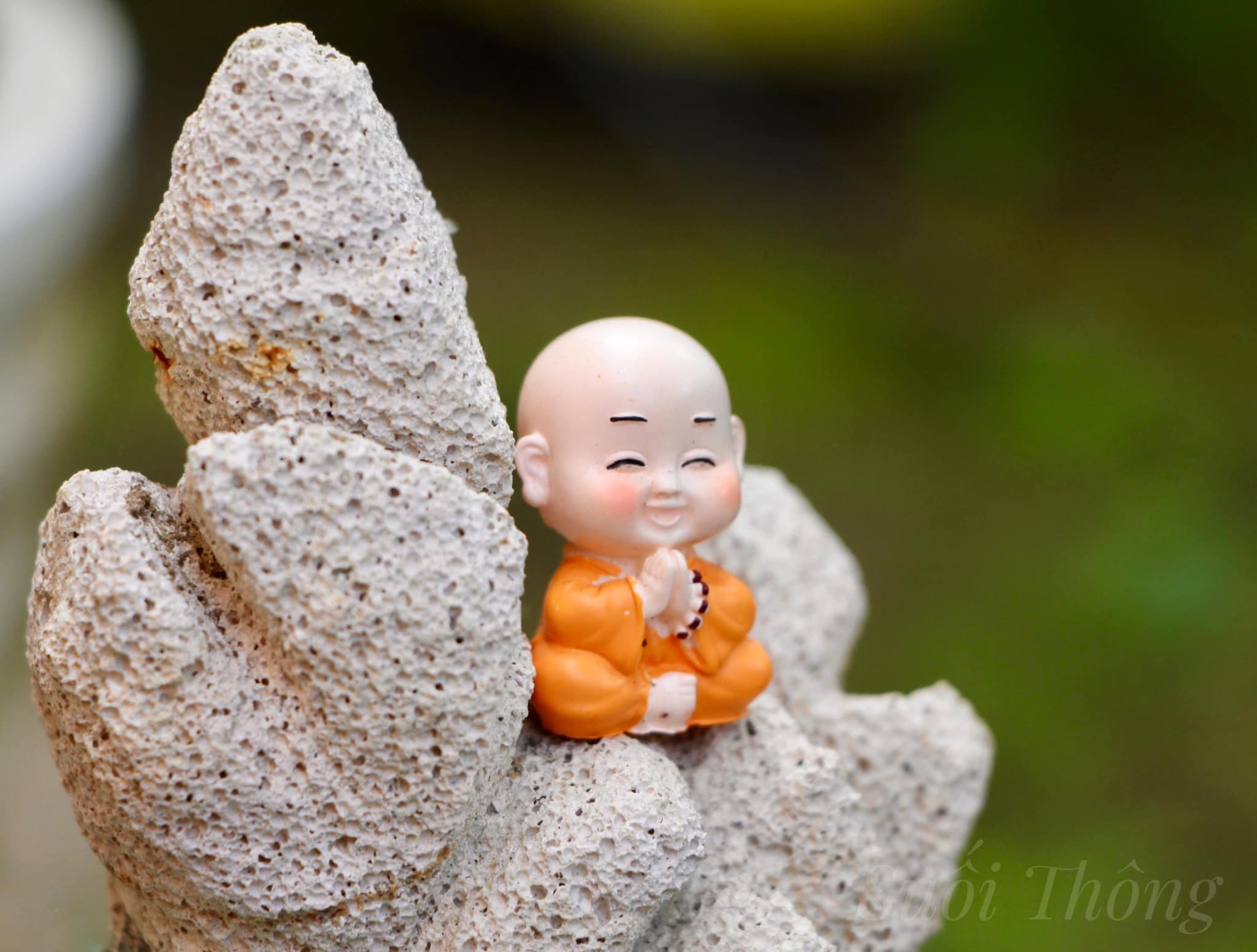 Nếu một ngày nào đó